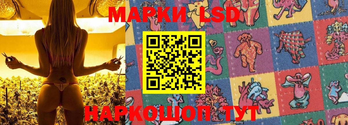 Ковров  Марки N-bome 1,8мг  Марки N-bome 1,8мг  Вход с VPN 