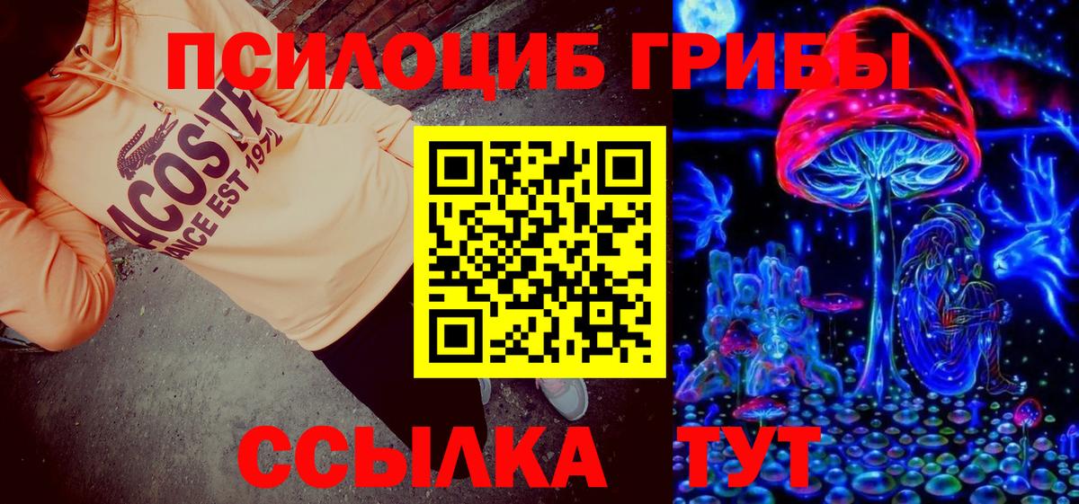 Галлюциногенные грибы MAGIC MUSHROOMS  Вход с VPN  Ковров 